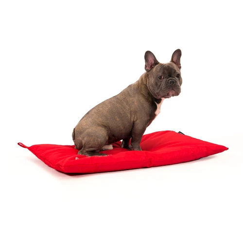 51 Degrees North Storm Bench Hundenkissen – Bild 5