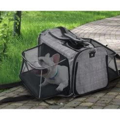 AFP Travel Dog - Hundetransportbox Mit Rollen -Haustierbedarfs Geschäft afp travel dog rolling pet carrier 213521 0500 none