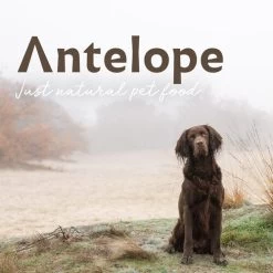 Antelope Fresh Puppy Hundefutter -Haustierbedarfs Geschäft antelope fresh puppy hondenvoer 217766 0500 none