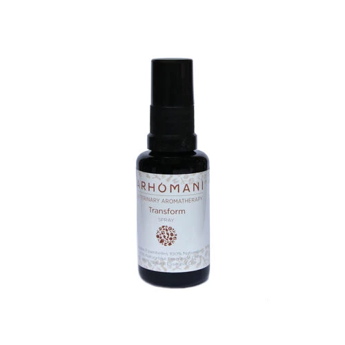 Arhomani Transform 1 Arhomani Transform