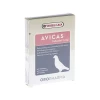 Avicas