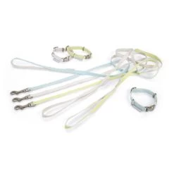 Beeztees Halsband & Leine