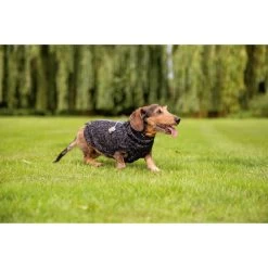 Beeztees Hundepullover Celia 9 Beeztees Hundepullover Celia -Haustierbedarfs Geschäft beeztees hondentrui celia 219140 0500 none