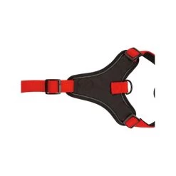 Beeztees Parinca Premium Y-Geschirr 10 Beeztees Parinca Premium Y-Geschirr -Haustierbedarfs Geschäft beeztees parinca premium y tuig 199589 0500 none