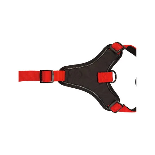 Beeztees Parinca Premium Y-Geschirr 3 Beeztees Parinca Premium Y-Geschirr – Bild 3