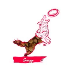 Calibra Dog Expert Nutrition Energy -Haustierbedarfs Geschäft calibra dog expert nutrition energy 163534 0500 none