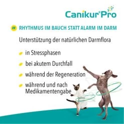 Canikur® Pro Diät-Ergänzungsfuttermittel Für Hunde -Haustierbedarfs Geschäft canikur pro 213692 0500 none