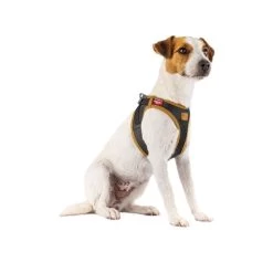 Curli Vegan Apple Leather Geschirr 7 Curli Vegan Apple Leather Geschirr -Haustierbedarfs Geschäft curli harnas vegan appelleer 216631 0500 none