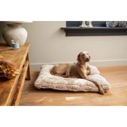 Designed By Lotte Xanti Hundekissen 6 Designed By Lotte Xanti Hundekissen -Haustierbedarfs Geschäft designed by lotte xanti hondenkussen 188127 0500 none