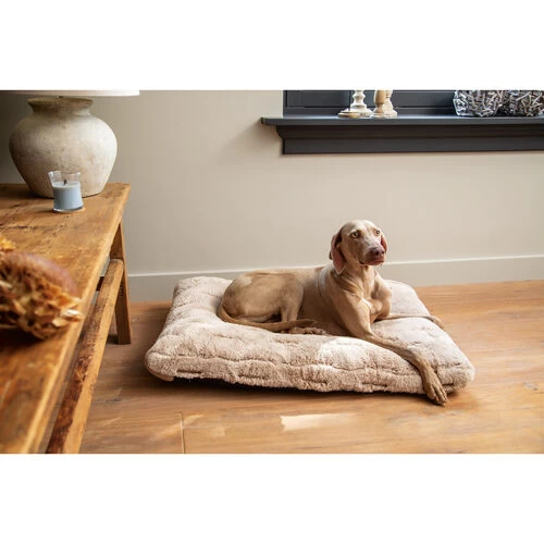 Designed By Lotte Xanti Hundekissen 3 Designed By Lotte Xanti Hundekissen – Bild 3