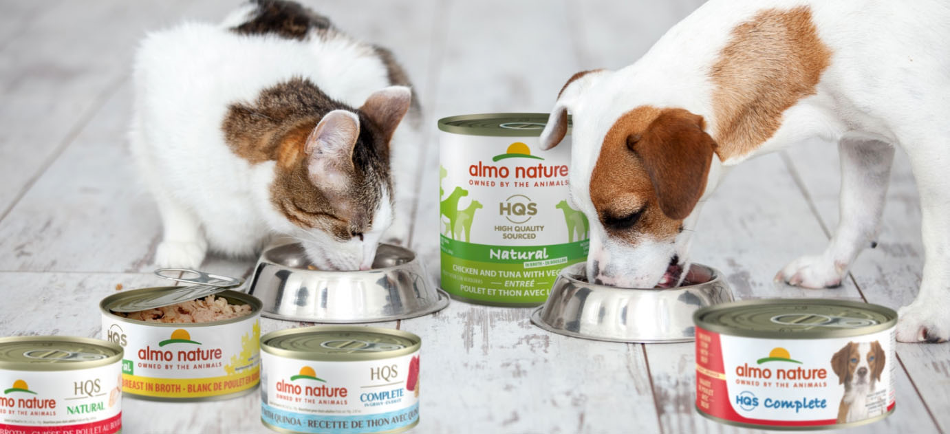 Haustierbedarfs Geschäft -Haustierbedarfs Geschäft dfgda