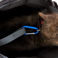 Doctor Bark Hundetragetasche -Haustierbedarfs Geschäft doctor bark honden draagtas 202157 0500 none