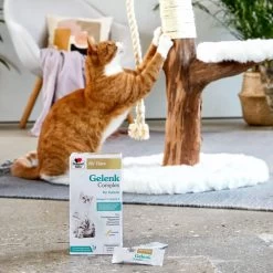 Doppelherz Gelenk Complex Für Katzen -Haustierbedarfs Geschäft doppelherz gelenk complex fuer katzen 195053 0500 none