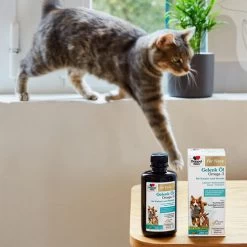 Doppelherz Gelenk Öl Omega-3 Für Katzen Und Hunde -Haustierbedarfs Geschäft doppelherz gelenk oel fuer katzen hunde 195062 0500 none