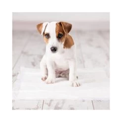 Duvo+ Puppy Pads Fresh Grass -Haustierbedarfs Geschäft duvo puppy pads fresh grass 144464 0500 none