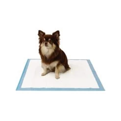 Easypets Trainingpads -Haustierbedarfs Geschäft easypets trainingspads 184186 0500 none
