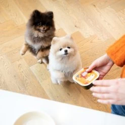 Edgard & Cooper Adult - Huhn & Truthahn - Im Schälchen -Haustierbedarfs Geschäft edgard cooper adult kip kalkoen kuipje 168597 0500 none