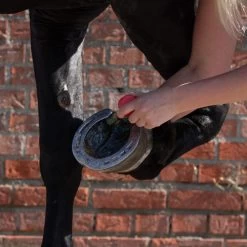 Equi Protecta Blue Wonder Gel -Haustierbedarfs Geschäft equi protecta blue wonder gel 161240 0500 none