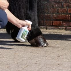 Equi Protecta Huf-Spray -Haustierbedarfs Geschäft equi protecta hoevenspray 161270 0500 none