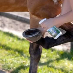 Equi Protecta Huf-Spray -Haustierbedarfs Geschäft equi protecta hoevenspray 161273 0500 none