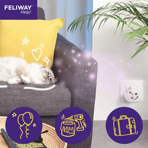 Feliway Help! 5 Feliway Help! – Bild 5