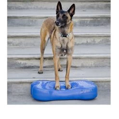 FitPAWS K9Fitbone -Haustierbedarfs Geschäft fitpaws k9fitbone 109639 0500 none