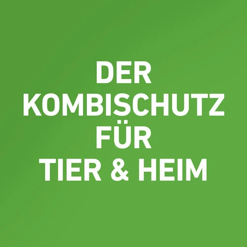 Frontline Combo Spot On Katze 5 Frontline Combo Spot On Katze – Bild 5