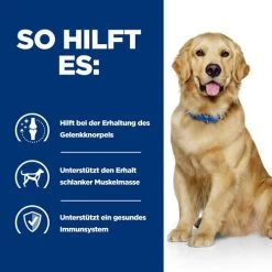 Hill's J/d Joint Care - Prescription Diet - Canine -Haustierbedarfs Geschäft hills jd joint care prescription diet canine 218031 0500 none