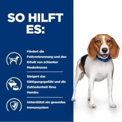 Hill's R/d Weight Reduction - Prescription Diet - Canine -Haustierbedarfs Geschäft hills rd weight reduction prescription diet canine 218088 0500 none