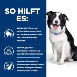 Hill's T/d Dental Care - Prescription Diet - Canine -Haustierbedarfs Geschäft hills td dental care prescription diet canine 218121 0500 none