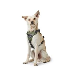 Hunter Geschirr Divo Dunkelblau/Grau 11 Hunter Geschirr Divo Dunkelblau/Grau -Haustierbedarfs Geschäft hunter harnas divo donkerblauwgrijs 166891 0500 none