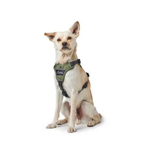 Hunter Geschirr Divo Dunkelblau/Grau 5 Hunter Geschirr Divo Dunkelblau/Grau – Bild 5