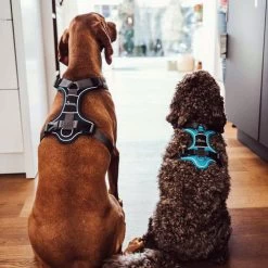 Hunter Geschirr Divo Dunkelblau/Grau 13 Hunter Geschirr Divo Dunkelblau/Grau -Haustierbedarfs Geschäft hunter harnas divo donkerblauwgrijs 166906 0500 none