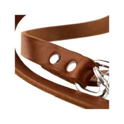 Hunter Trainingsleine - Braun 7 Hunter Trainingsleine - Braun -Haustierbedarfs Geschäft hunter trainingsriem bruin 175345 0500 none