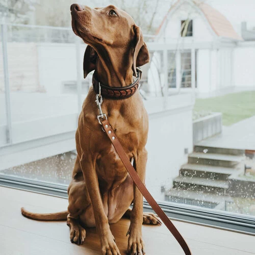 Hunter Trainingsleine - Braun 2 Hunter Trainingsleine - Braun – Bild 2