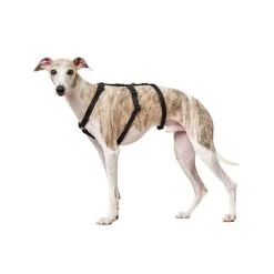 Hunter Vario Rapid Sicherheitsgeschirr - Schwarz -Haustierbedarfs Geschäft hunter vario rapid veiligheidsharnas zwart 169501 0500 none