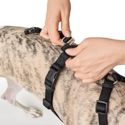 Hunter Vario Rapid Sicherheitsgeschirr - Schwarz -Haustierbedarfs Geschäft hunter vario rapid veiligheidsharnas zwart 169504 0500 none