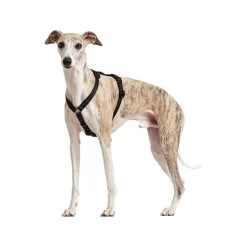 Hunter Vario Rapid Sicherheitsgeschirr - Schwarz -Haustierbedarfs Geschäft hunter vario rapid veiligheidsharnas zwart 169507 0500 none