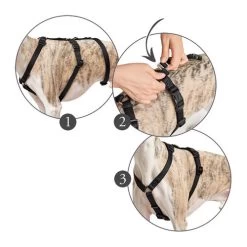 Hunter Vario Rapid Sicherheitsgeschirr - Schwarz -Haustierbedarfs Geschäft hunter vario rapid veiligheidsharnas zwart 169510 0500 none