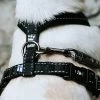 Hurtta Casual Harness