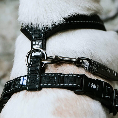 Hurtta Casual Harness 1 Hurtta Casual Harness