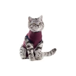Jacketz Medical Body Suit Für Katzen -Haustierbedarfs Geschäft jacketz medical body suit kat 154129 0500 none