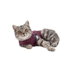 Jacketz Medical Body Suit Für Katzen -Haustierbedarfs Geschäft jacketz medical body suit kat 154147 0500 none