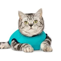Jacketz Medical Body Suit Für Katzen -Haustierbedarfs Geschäft jacketz medical body suit kat 209783 0500 none