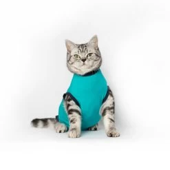 Jacketz Medical Body Suit Für Katzen -Haustierbedarfs Geschäft jacketz medical body suit kat 209789 0500 none