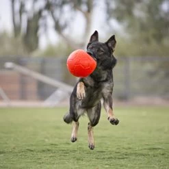 Jolly Soccer Ball 8 Jolly Soccer Ball -Haustierbedarfs Geschäft jolly soccer ball 162241 0500 none
