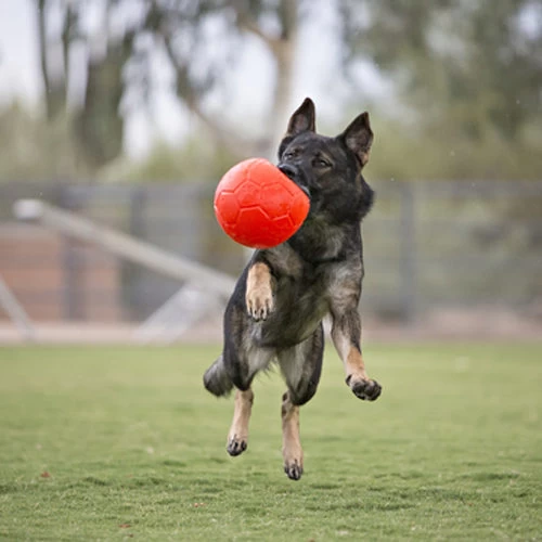 Jolly Soccer Ball 3 Jolly Soccer Ball – Bild 3