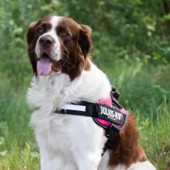 Julius K9 IDC Powergeschirr 16 Julius K9 IDC Powergeschirr -Haustierbedarfs Geschäft julius k9 idc powertuig 192695 0500 none