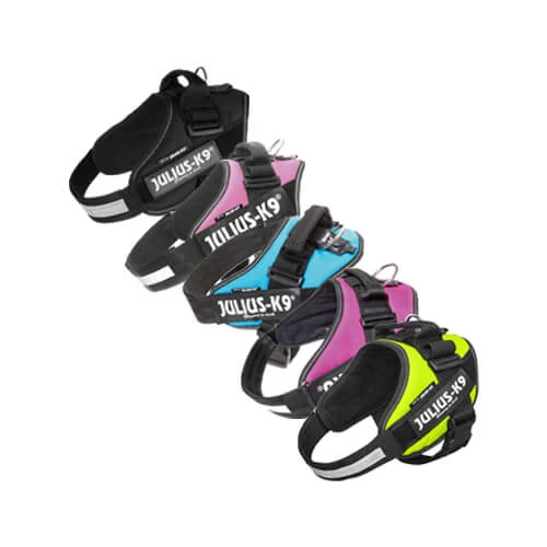 Julius K9 IDC Powergeschirr 1 Julius K9 IDC Powergeschirr