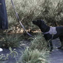 Kentucky Dogwear Hundegeschirr Body Safe Wool -Haustierbedarfs Geschäft kentucky dogwear hondenharnas body safe wool 219214 0500 none